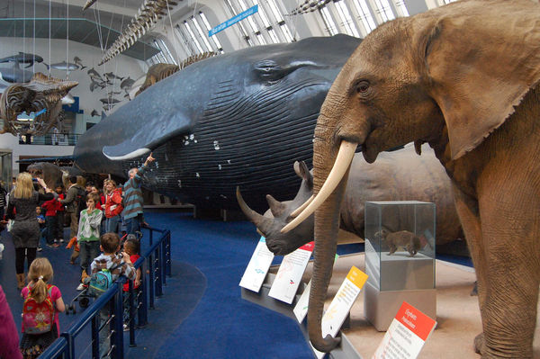 Natural History Museum, London, England