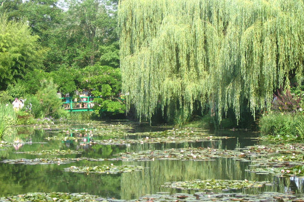 Claude Monet's Garden at Giverny, France