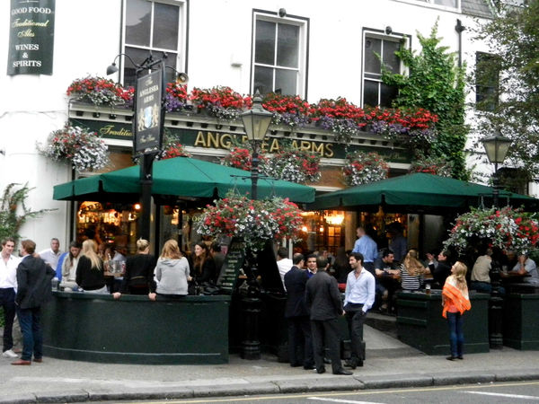 Anglesea Arms Pub, London, England