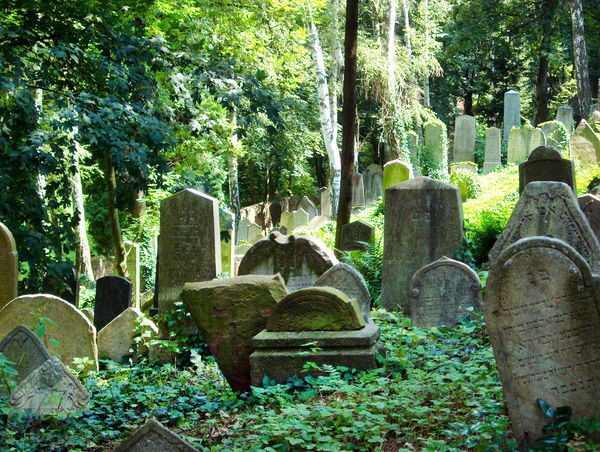 Jewish Cemetery, Třebíč, Czech Republic