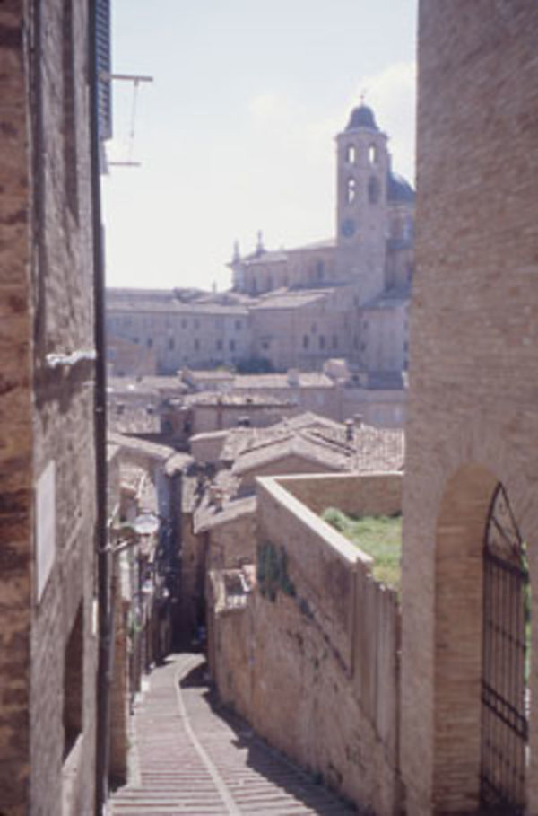 Resultado de imagen para fotos de urbino