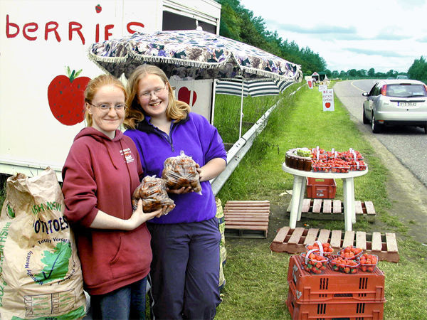 Roadside berry and potato stand, County Wexford, Ireland