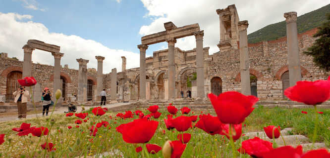 Poppies at Ephesus, Turkey