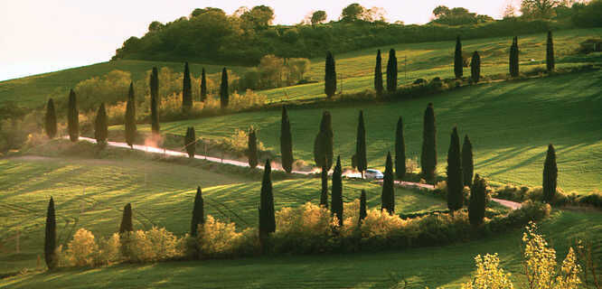 Rural hillside, Tuscany, Italy