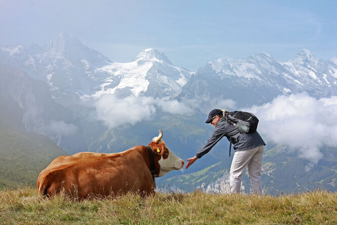 On the Männlichen–Kleine Scheidegg trail, Berner Oberland, Switzerland
