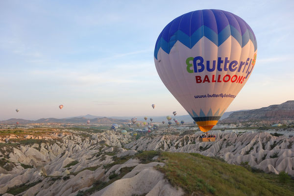 Balloons in Cappadocia