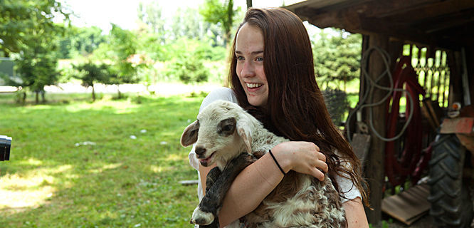Goat cuddle at farm in Goričan, Croatia