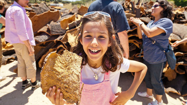 Cork harvest, Alentejo region, Portugal