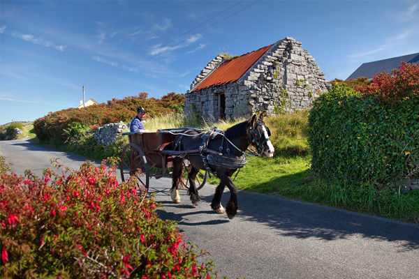 Horse-drawn cart, Inishmore, Aran Islands, Ireland