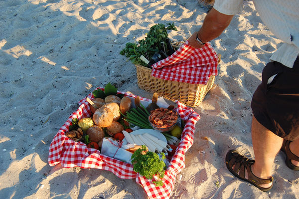 Beach picnic, Ærø, Denmark