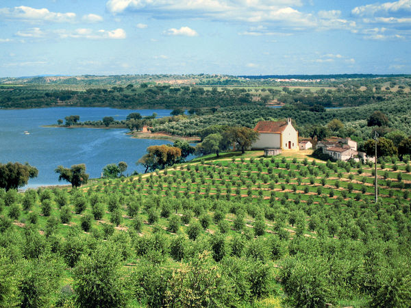 Alentejo farmland, Portugal