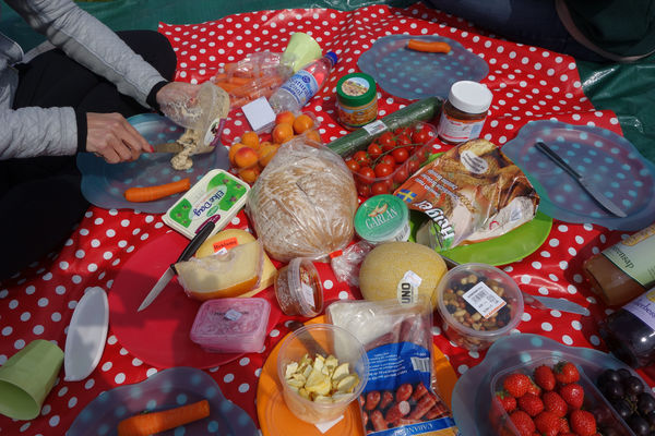 Picnic in the polderland, Netherlands
