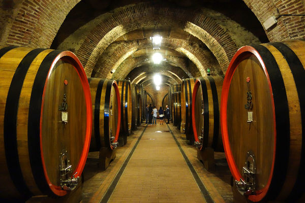 Wine cellar in Montepulciano, Italy