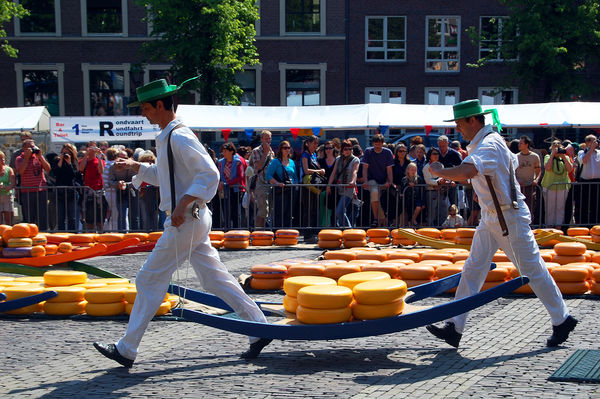 Cheese market, Alkmaar, Netherlands