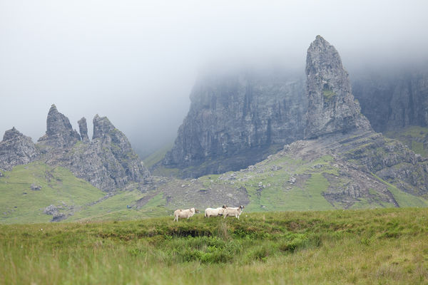 Old Man of Storr and Trotternish Ridge, Isle of Skye, Scotland