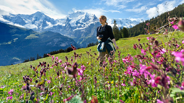 How to plan a flight-free summer trip to the Alps