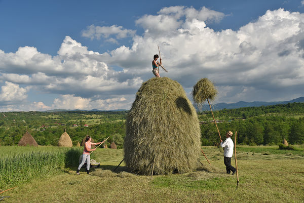 Hay bales, Maramureș, Romania