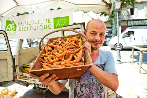 Market carrots, St-Rémy-de-Provence, France