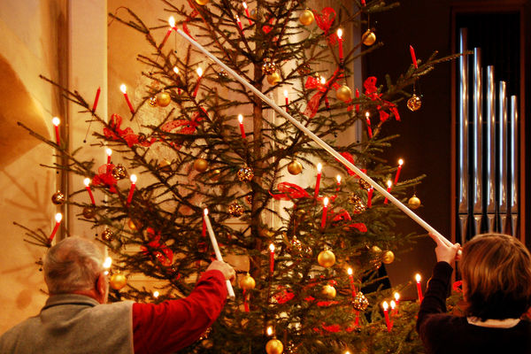 Traditionally decorated Christmas tree, Berner Oberland, Switzerland