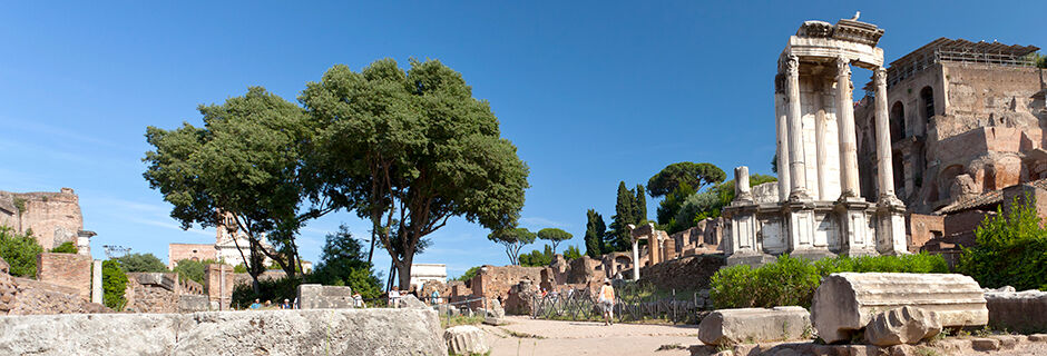 The Forum