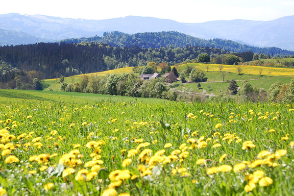 Discovering the Romance of Germany’s Black Forest by Rick Steves