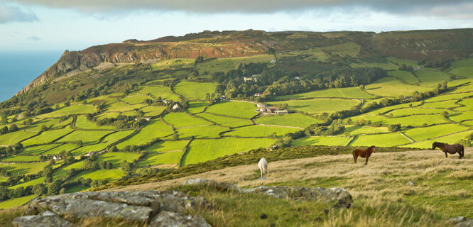 Countryside near Llanfairfechan, Wales