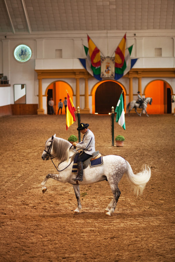 Royal Andalusian School of Equestrian Art, Jerez, Spain