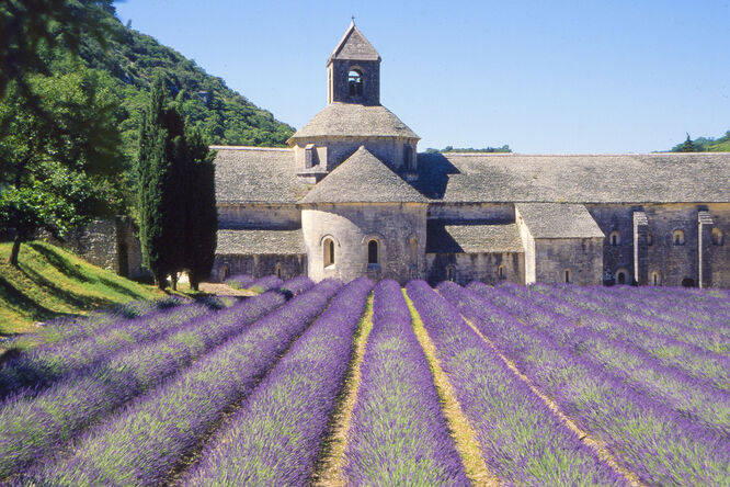 Abbey Notre-Dame de Sénanque, near Gordes, France