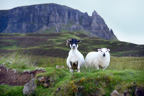 Trotternish Peninsula, Isle of Skye, Scotland