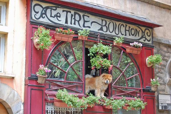 Restaurant proprietor in Lyon, France
