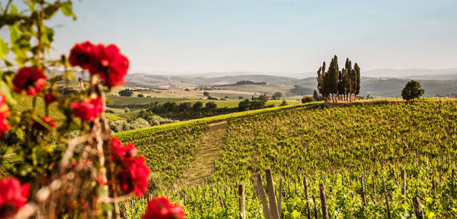 Best of Tuscany in 11 Days Tour | Italy Vacations | Rick Steves 2024 Tours