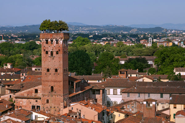 Torre Guinigi, Lucca, Italy