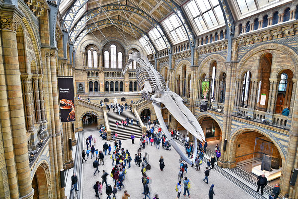 Natural History Museum, London, England