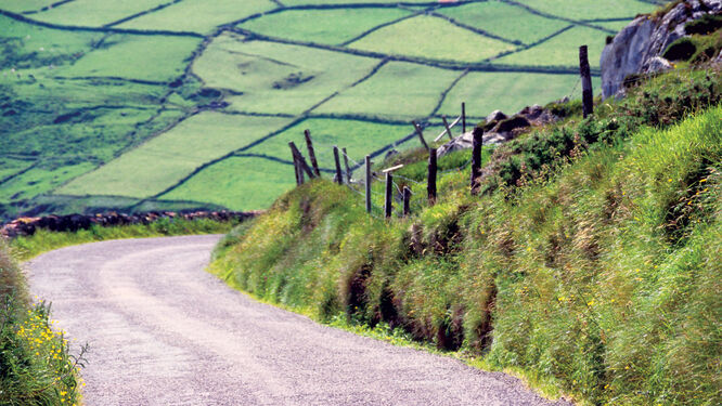 Near Kilkenny, Ireland
