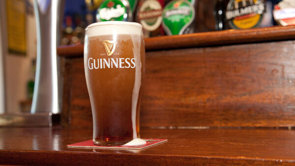 Pint of Guinness spotted in Temple Bar neighborhood, Dublin