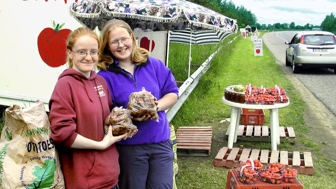 Roadside berry and potato stand, County Wexford