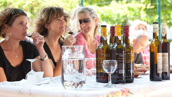 Port wine tasting, Douro Valley