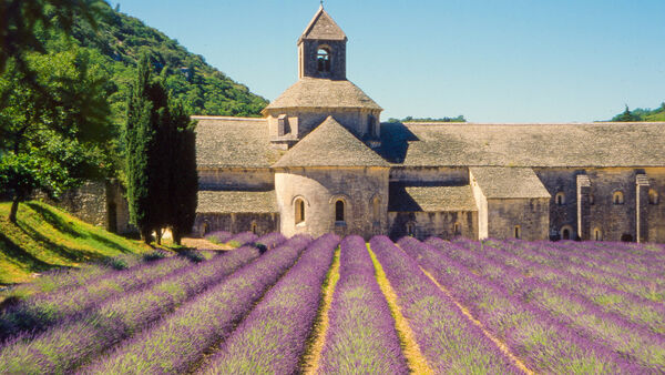 Abbey Notre-Dame de Sénanque, Luberon, France