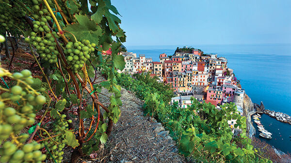 Manarola