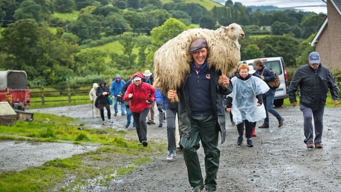 Sheep herder, Wales