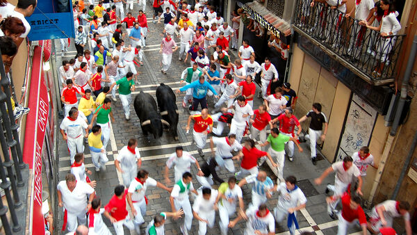 Surrounded by runners and spectators, bulls charge through the streets of Pamplona, Spain, during the Festival of San Fermín's Running of the Bulls