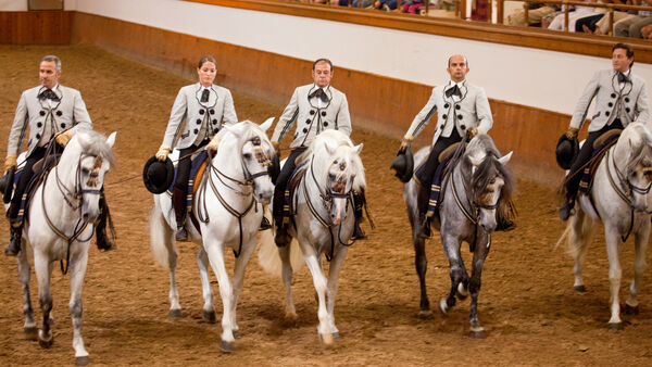 Royal Andalusian School of Equestrian Art, Jerez, Spain