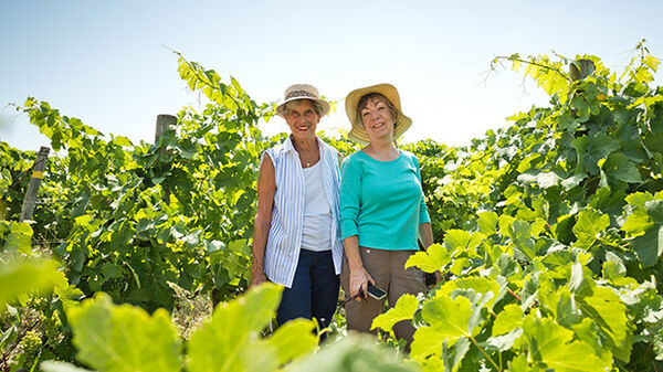 Ladies in a vineyard