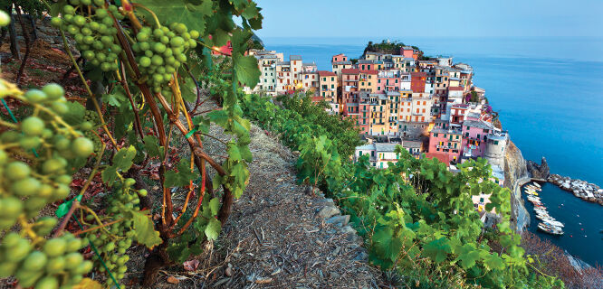 Manarola, Cinque Terre, Italy