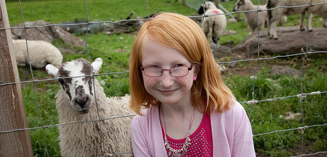 Scotland Highlands Sheep Farm
