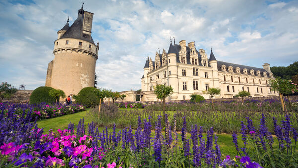 Château Chenonceau with its gardens' purple flowers in the foreground, Loire Valley, France