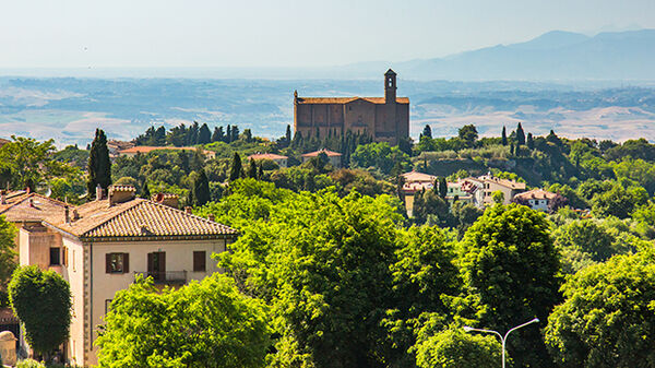 The treetops of Volterra, Italy, with the Church of Santi Giusto e Clemente in the background