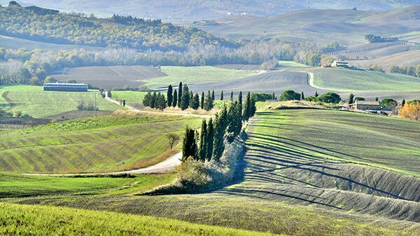 Cypress-tree-lined roads and green hills in rural Tuscany