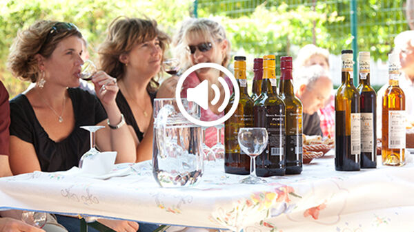 People tasting port wine at a quinta in the Douro Valley, Portugal