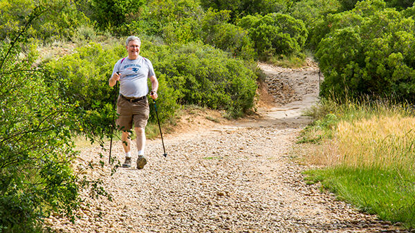 Walking along the Camino de Santiago